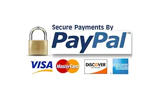 Paypal - Ray Parkin's Odyssey book